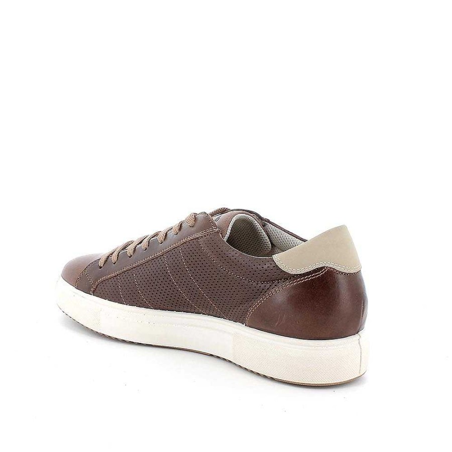 Igi&Co Sneakers In Pelle Da Uomo Fango Sneakers